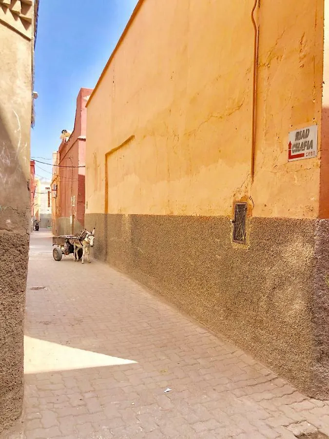 Maison Chafia Boutique Hotel & Spa Marrakesh 3*,  Morocco